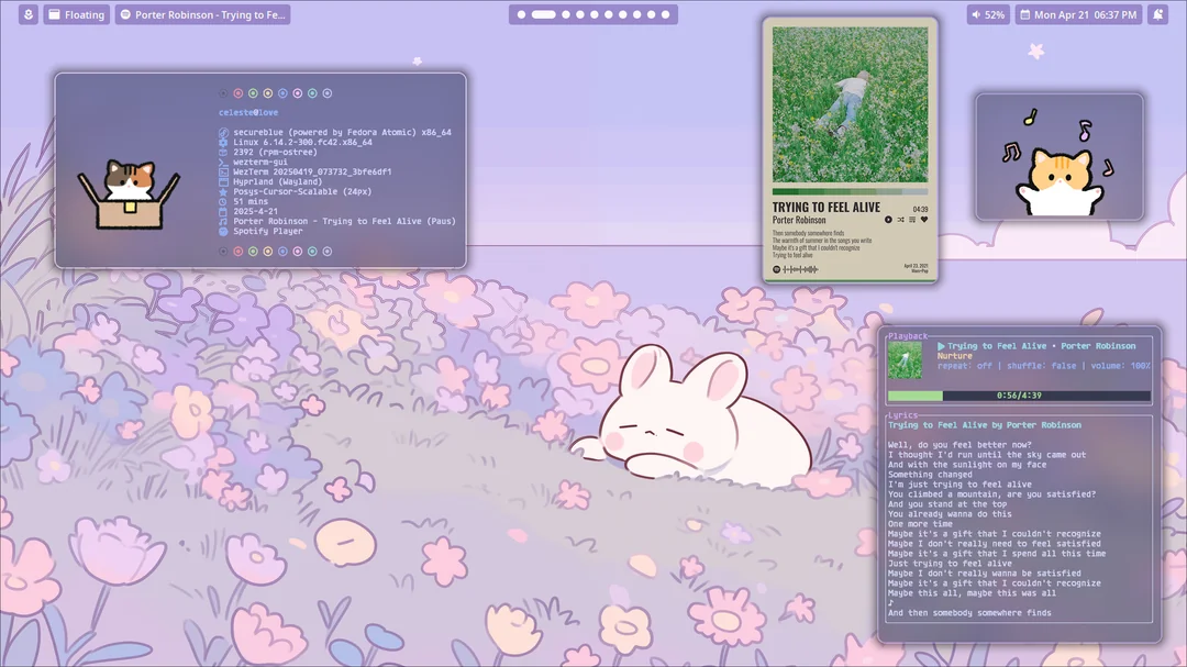 cute linux setup